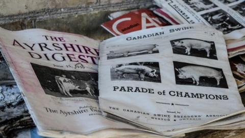 Barns of Angst - Catherines-Farm117.jpg