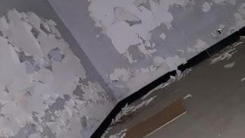 The L.P.H - 20191214_235644 - Copy.jpg