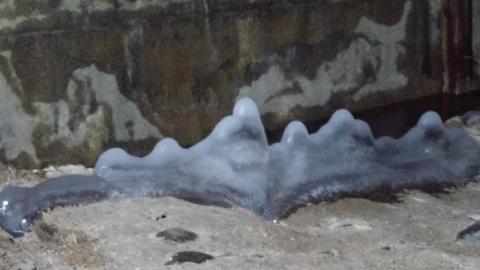 Photo from Blue ghost tunnel