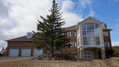 Photo from Budding Room & More '19