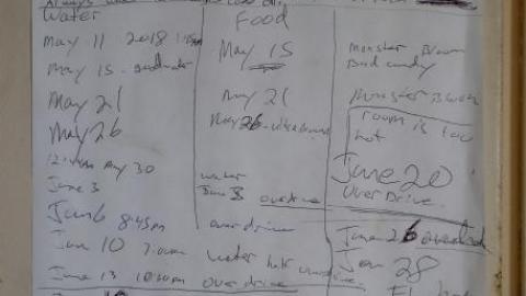 Budding Room & More '19 - DSC06776.jpg