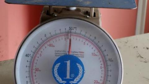 Budding Room & More '19 - DSC06804.jpg