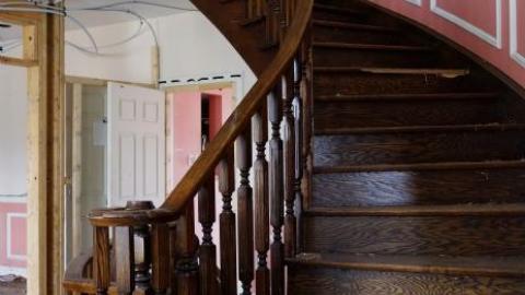 Budding Room & More '19 - DSC06811.jpg