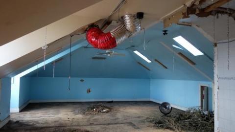 Budding Room & More '19 - DSC06845.jpg