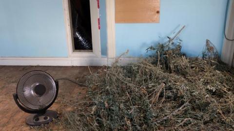 Budding Room & More '19 - DSC06849.jpg