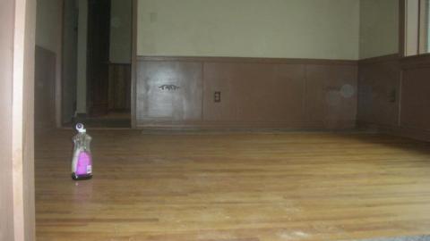 New dundee house - received_10213995238973703.jpe.jpg