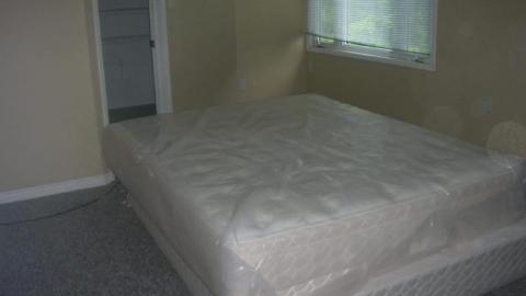 New dundee house - received_10213995242453790.jpe.jpg