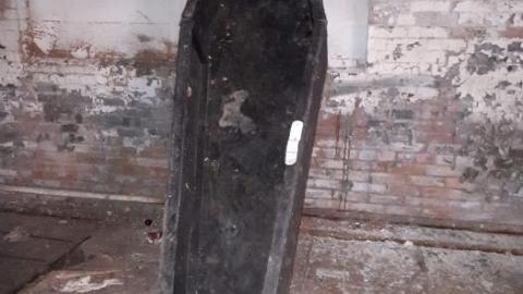 Old plant. - S-and-L-Plant99.jpg