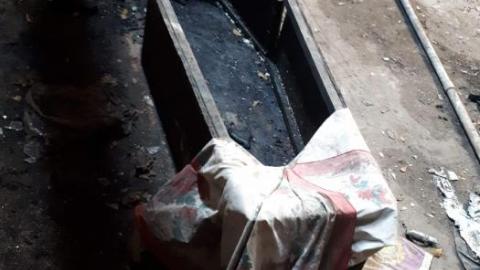 Old plant. - S-and-L-Plant95.jpg