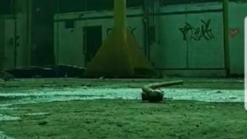 Old plant. - S-and-L-Plant97.jpg