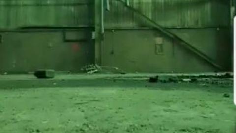 Old plant. - S-and-L-Plant93.jpg