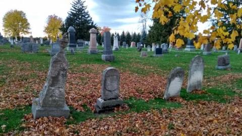 Iroquois |Point Cemetery - Iroquois-Point-Cemetery17.jpg