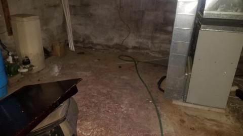 In with the new. photo 2