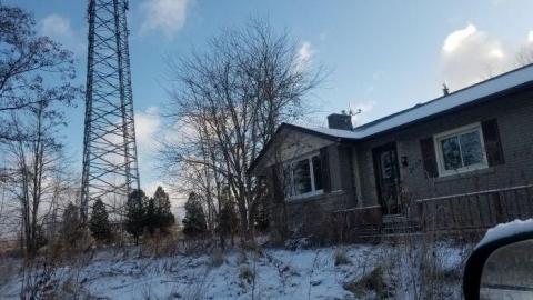 In with the new. photo 4