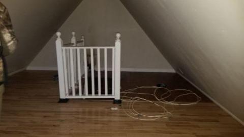 Watch where you step - 20200125_211513.jpg