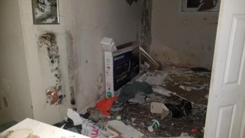 Watch where you step - 20200125_205254.jpg