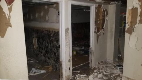 Watch where you step - 20200125_205249.jpg