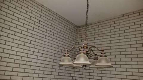 Howard - 20200126_152041.jpg