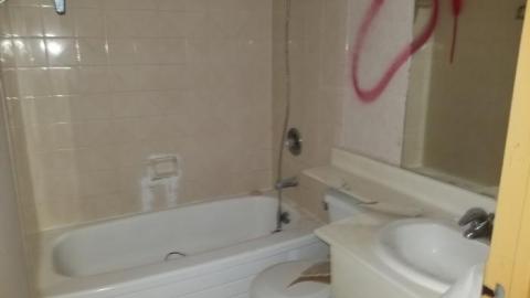 Howard - 20200126_151851.jpg