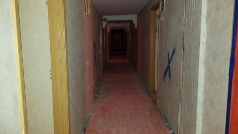 Howard - 20200126_151554.jpg