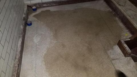 Howard - 20200126_151536.jpg