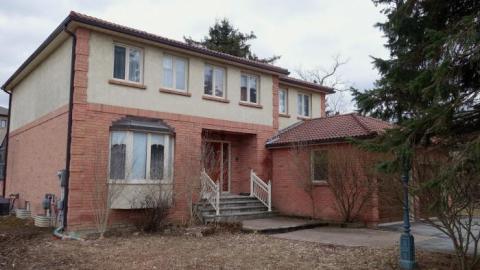 Kitchen Duck '19 - DSC06914.jpg