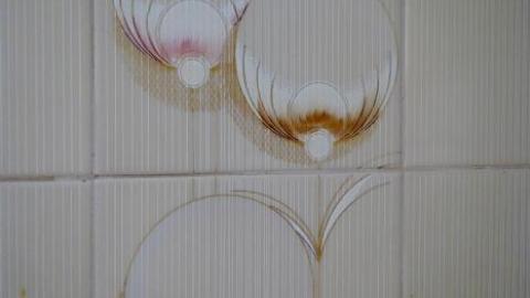 Photo from Kitchen Duck '19