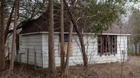 Kitchen Duck '19 - DSC07038.jpg