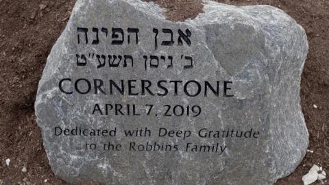 Kitchen Duck '19 - DSC07052.jpg