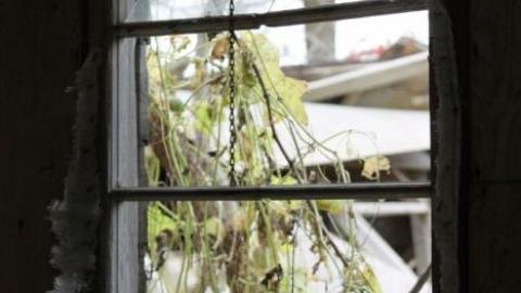 Old Burned Red - Burnt-and-a-Dash-of-Collapse34.jpg