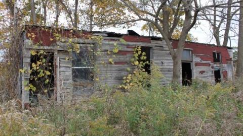 Photo from Old Burned Red