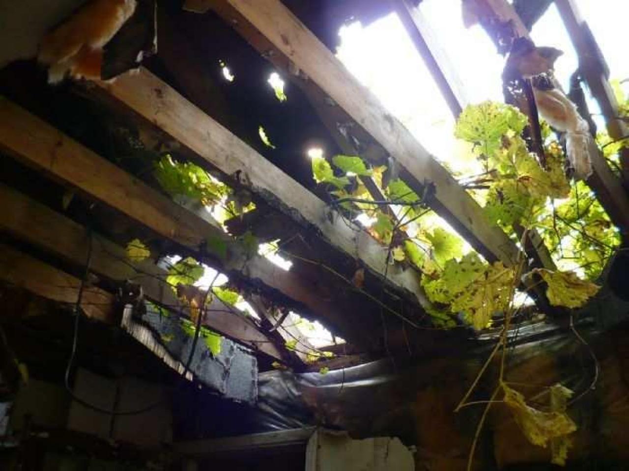 Lapp of Luxury - The-Lapp-House35.jpg