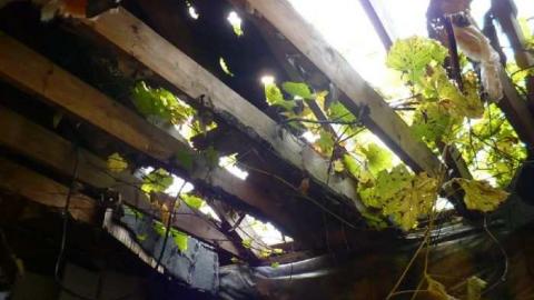 Lapp of Luxury - The-Lapp-House35.jpg