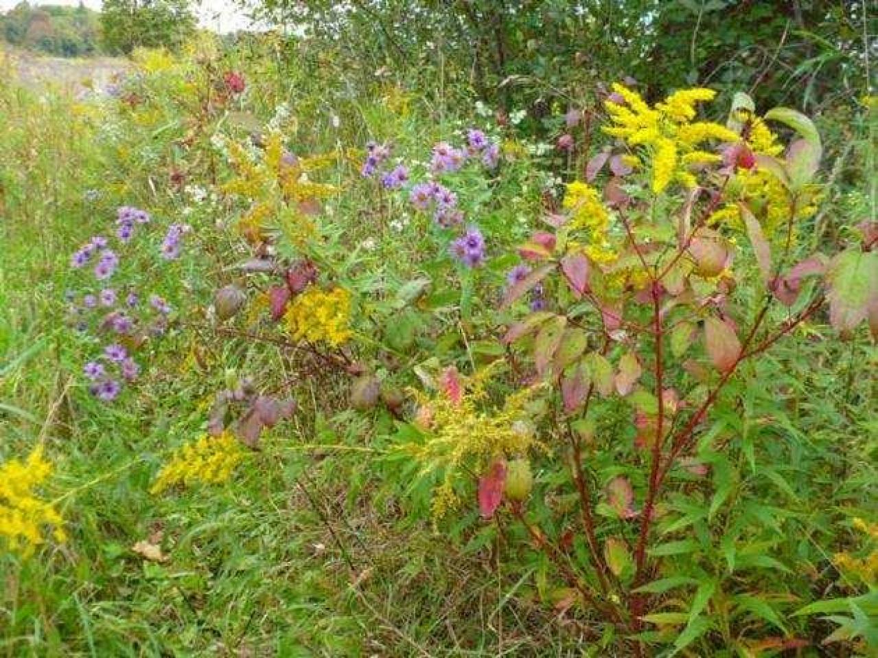 Lapp of Luxury - The-Lapp-House37.jpg