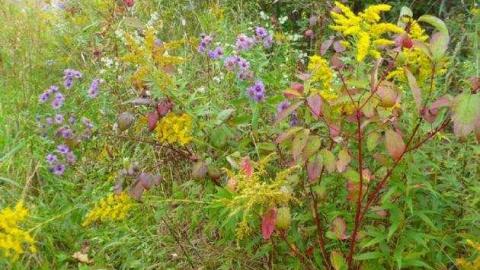 Lapp of Luxury - The-Lapp-House37.jpg