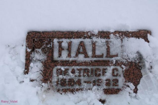 Little Feild Cemetery photo 4