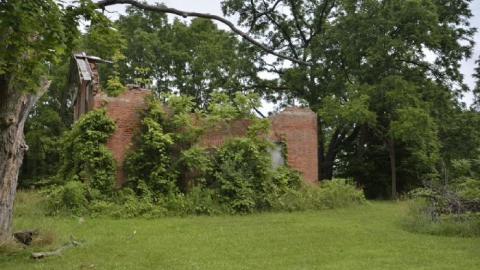 Photo from July 2019