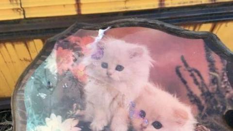 bus - bus-down-fry-truck8.jpg