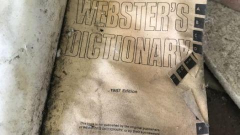 bus - bus-down-fry-truck23.jpg