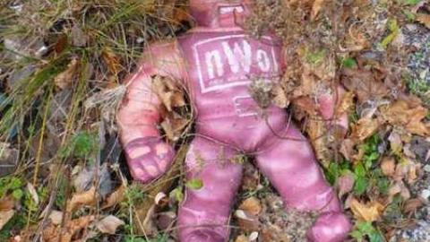 Erica's - Ericas-Place57.jpg