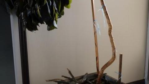 Closed Forever '19 - DSC06715.jpg