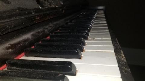 Woodhill Farm photo 3