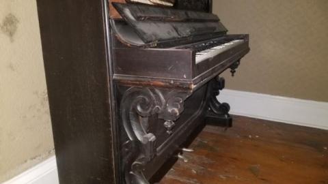 Woodhill Farm photo 2