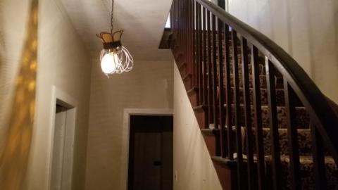 Woodhill Farm photo 4