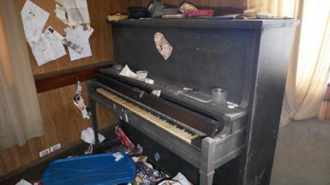 Creepy - 80D33A08-1CE1-4527-80D9-D530E7.jpg