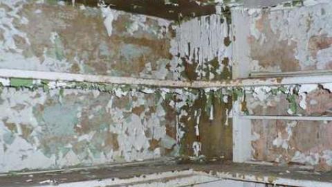 Timo's visit - Huntington-farm-house11.jpg