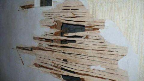 Timo's visit - Huntington-farm-house15.jpg