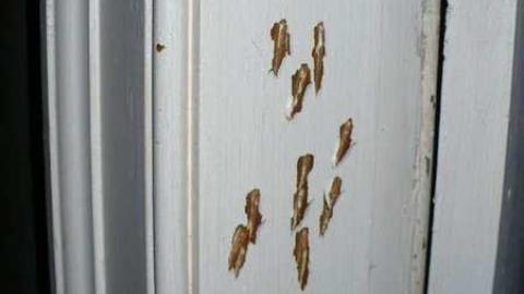 Timo's visit - Huntington-farm-house16.jpg