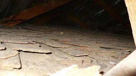 Timo's visit - Huntington-farm-house22.jpg