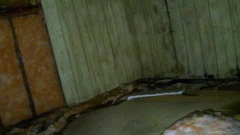 Rob Road house  - PICT0087.jpg